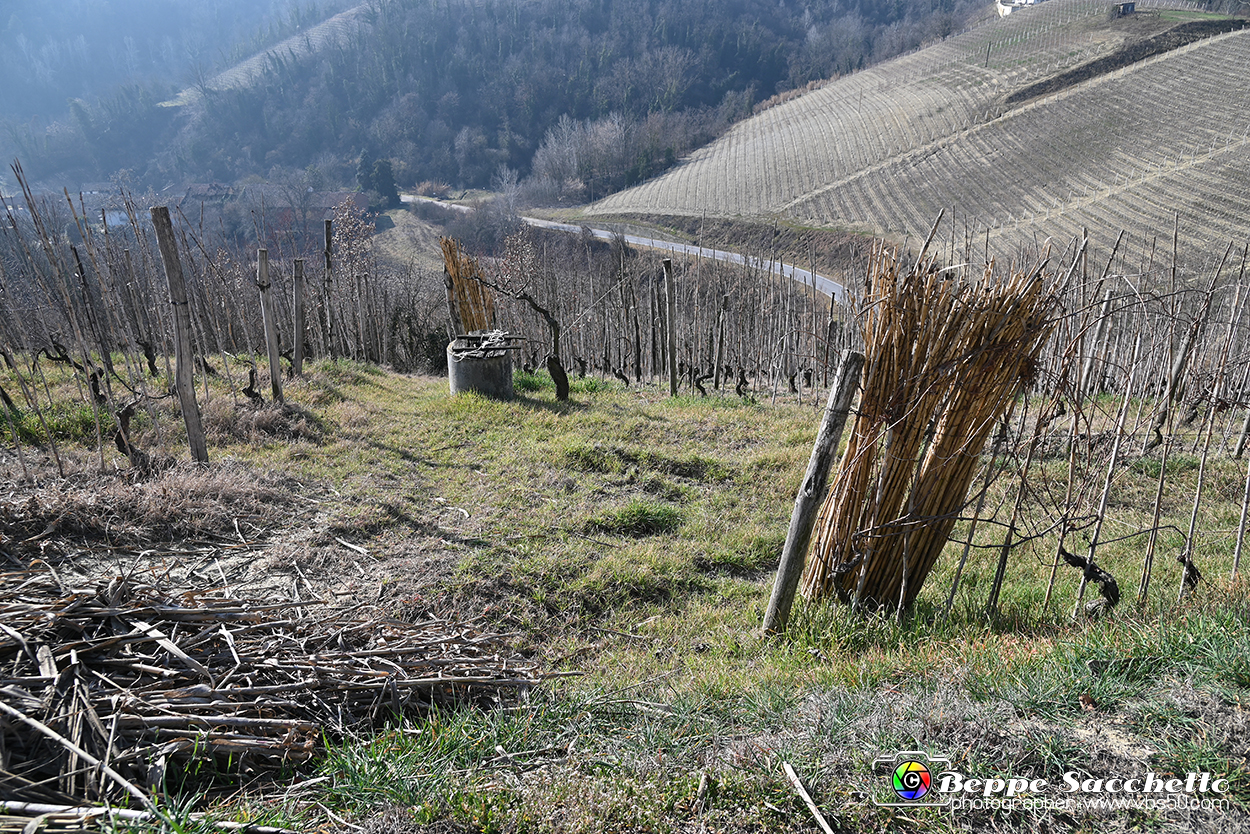 VBS_1151 - Santo Stefano Roero.jpg